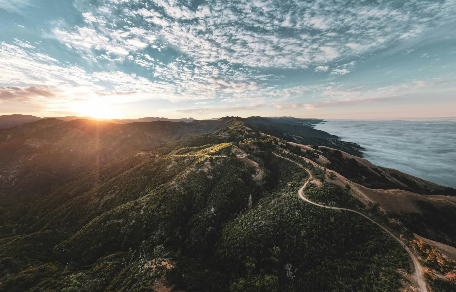 The Importance of Extended Care and Aftercare Programs in Addiction Recovery