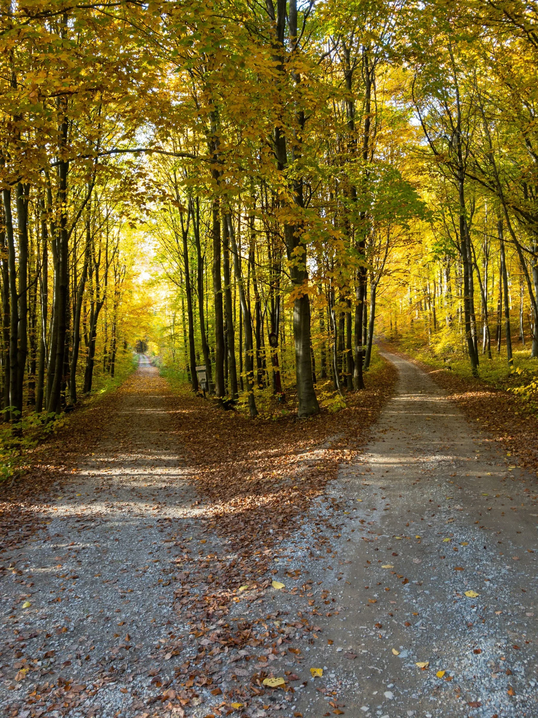 Parallel Recovery: Walking Two Paths at Once